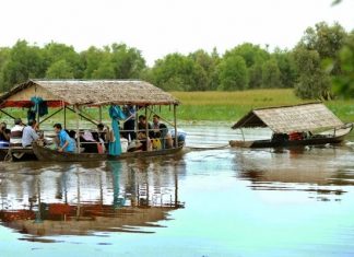 Khám phá vẻ đẹp thiên nhiên tại Vườn quốc gia Tràm Chim – Đồng Tháp Khám phá vẻ đẹp thiên nhiên tại Vườn quốc gia Tràm Chim - Đồng Tháp